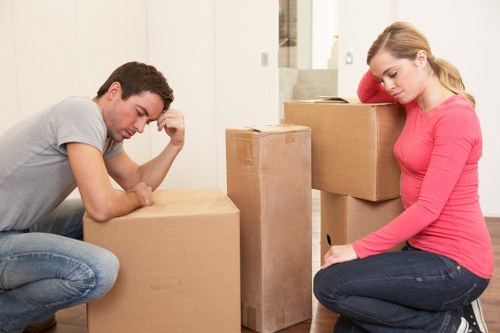 Professional man and van service operating in Ealing
