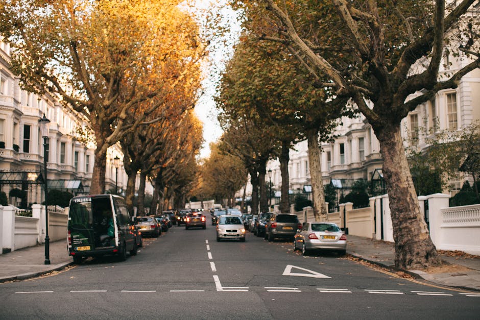 The image depicts a residential street with a row of large, mature trees lining both sides of the road, their branches extending overhead and creating a canopy. Along the curb, a variety of parked vehicles, including sedans, hatchbacks, and a small van, are visible. The street is paved with asphalt and features marked parking bays and a central lane with dashed lines. On the left, a black van with company branding, likely used for home relocation or furniture transport by Ealing Man and Van, is parked near a white-painted wall with decorative fencing and residential buildings with Victorian-style architecture. The scene is illuminated by soft, natural light, possibly during late afternoon or early evening, highlighting the autumn-colored foliage. The setting suggests an area suitable for moving services, with furniture and boxes potentially being loaded or unloaded inside nearby houses, supporting logistics related to packing and moving within Ealing's tight access streets. Ealing Man and Van is involved in efficient and professional removals, as indicated by the environment and the vehicle presence in the scene.